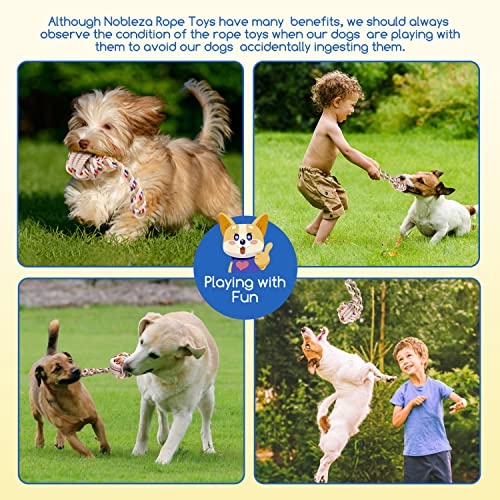 Nobleza Hundespielzeug unzerstörbares 2 Pack, 100% natürliche Baumwolle Seil Hundespielzeug - interaktives Tauziehspielzeug für Welpen - Dog Rope Toy - welpenspielzeug - Hundekauspielzeug - 20 cm