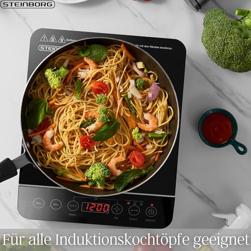 Induktionskochplatte 2000 Watt 6 Automatikprogramme Induktionskochfeld 1 Platte Herdplatte...