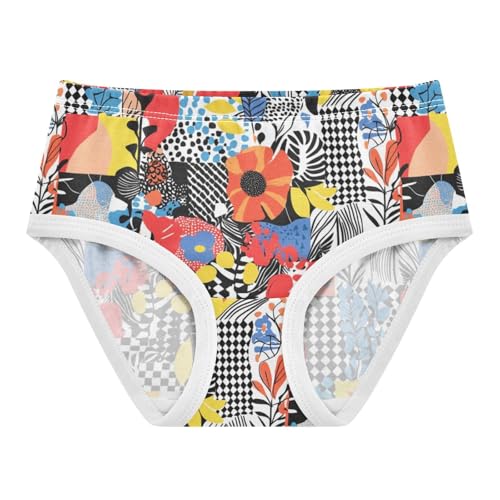 ZZKKO Colorful Geometric Floral Check Girls Underwear Toddler Panties for Girls Comfort Brief Size 2T-8Y