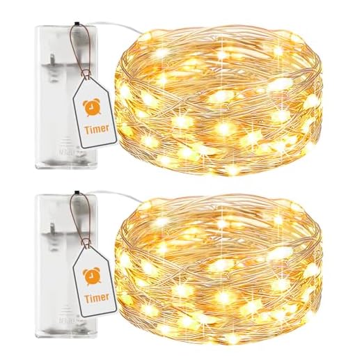 btfarm 2 Pack Fairy Lights Battery Operated with Timer, 2M 20LED Small Sliver Wire String Lights Waterproof, Micro Battery Powered Christmas Lights for Indoor Bedroom Party Wedding, Warm White