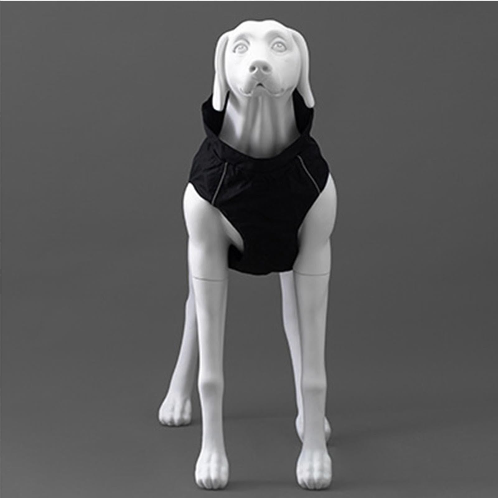 Modello di Visualizzazione di Abbigliamento per Animali Domestici, Manichino per Cani, Materiale FRP, Modello di Visualizzazione Multifunzionale Bianco Staccabile per Cani di Grandi