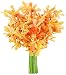 Kabloom Gatsby's Golden Mokara Orchids (10 stems) - Without Vase