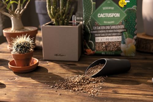 LECHUZA-Pflanzsubstrat CACTUSPON 6 Liter | für Kakteen und Sukkulenten | toffrei und ohne Düngemittel | 19546
