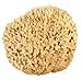 Sea Wool Sponge 6-7