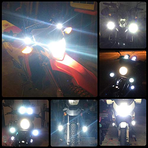 Falconstar Compatible for Motorcycle Headlight LED Fog Light 3 inch Round Blue Angel Eye DRL White Light 10-80V DC 8000LM Waterproof Off-road Vehicle Marine Work Light (2 PCS)