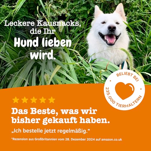 Zesty Paws Juckreizlinderung für Hunde | Empfindliche Haut | Hypoallergene Allergielinderung | Anti-Juckreiz & Allergielinderung | Für Hunde, die kratzen, jucken & lecken | Omega-3-Fettsäuren | 90 Stk
