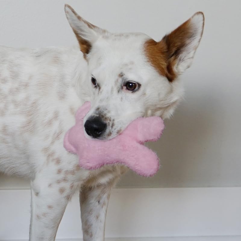 Kong - Snuzzles Kiddos Bunny S 19,5X14X6cm - (634.7330)