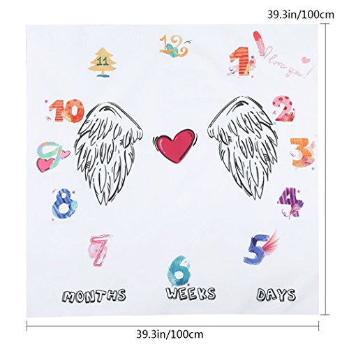 Faylapa Neonata Milestone coperta mensile Neonata