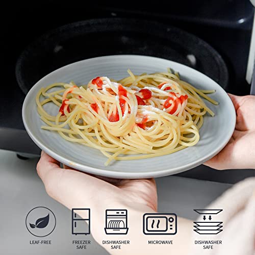 Hasense Porcelain 7.5 Inches Appetizer Plates Set Of 4, Salad Plates Ceramic Dessert Dishes For Pizza Pasta Maincourse, Microwave Dishwasher Safe #TOP3