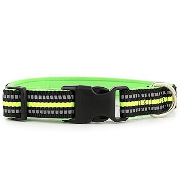Plutus Pet Reflective Soft Neoprene Padded Dog Collar,Comfort Weatherproof Adjustable Collars,Neck 10-16 inch,Small,Green