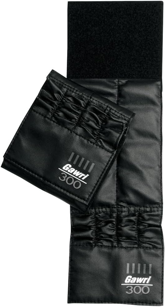 HATAS(秦運動具工業) ガウリアンクルウエイト0.3kg 2個組 25W3002