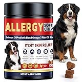 Leyoviz Dog Allergy Chews for Itchy Skin Relief – Probiotic Soft Chews for Dogs with Paw Licking, Ear & Seasonal Allergies – Gut & Immune Support, 200 Chews
