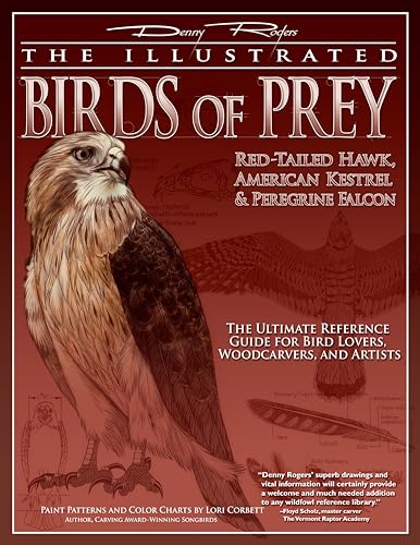 Illustrated Birds of Prey: Red-Tailed Hawk, American Kestral, & Peregrine Falcon: The Ultimate Reference Guide for Bird Lovers, Woodcarvers, and Artists (Fox Chapel Publishing)