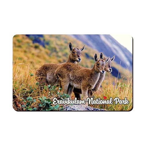Image of Elegant Fridge Magnet with Themes |Rectangular Size Refrigerator Magnet with Magnetic Rubber Back | Pack of 1, 8.6cm X 5.4cm (Eravikulam National Park)