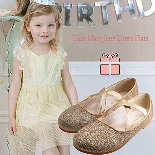 JBTNBX Girl Ballet Flats Mary Jane Shoes Dress Shoes Glitter School Party Dress Princess Wedding Shoes (Little Kid/Big Kids)2