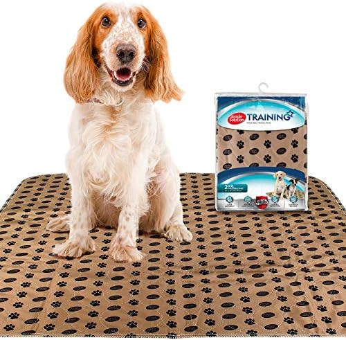 Simple Solution Large Washable Puppy Pad | Reusable Dog Pee Pad | Absorbent and Odor Controlling | 30x32 Inches, 2 Count, Black & Beige