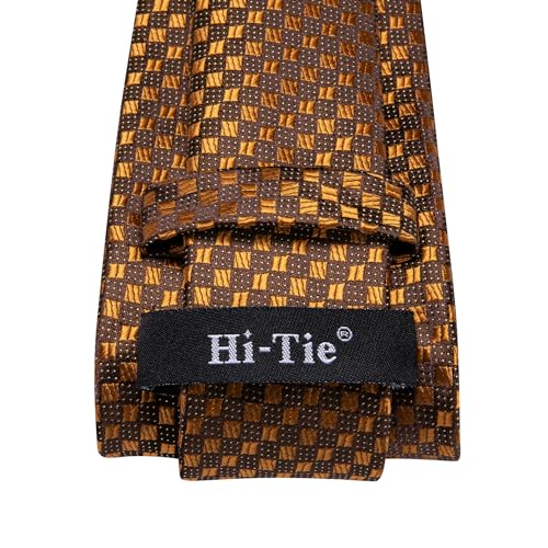 Image of Hi-Tie Mens Paisley Floral Striped Ties Set Silk Necktie and Lapel Pin for Men Pocket Square Cufflinks Set Business Wedding