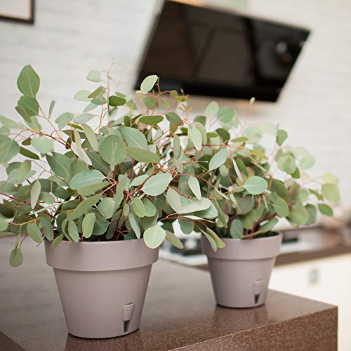 Decopots - Self Watering Planter - 6.9 Inch Diameter - Indoor Outdoor With Bottom Watering And Water Level Indicator (6.9", Graphite) #TOP6
