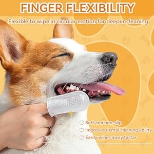 Dog teeth cleaning wipes for dogs  cats 60 counts dog dental care wipes dog tooth brushing kit dental wipes remove bad breath by reducing tartar buildup  freshens breath   cucciolini doodles