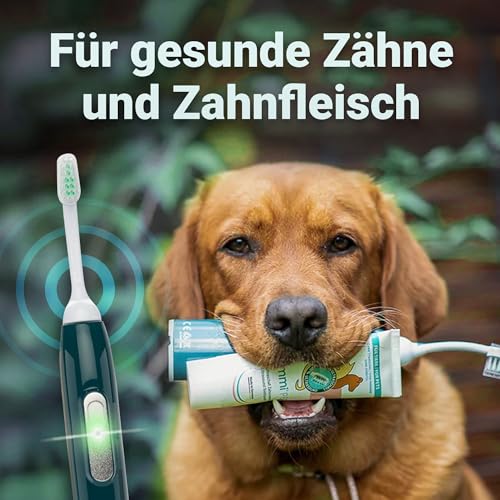 emmi-pet PRO Ultraschall-Zahnbürste für Hunde - Geräuschlose Hundezahnbürste & Katzenzahnbürste ohne Schrubben mit 96 Mio. Schwingungen, 12 Tage Akkulaufzeit - Gegen Entzündungen & Zahnsteinvorbeugung