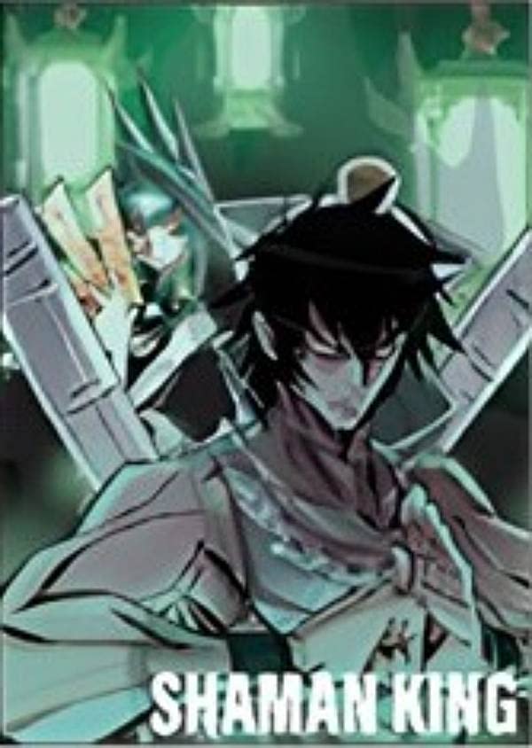 シャーマンキング カード 李白竜 Amazon.co.jp: 【李白竜】シャーマンキング メモリアルカード