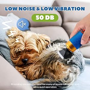 Pet Grooming Clippers 200W, Plug-in with 3m Power Cord & Stepless Speed Control, Low Noise < 50db, Heavy-Duty Dog Hair Trimmer Kit with Extra Detachable Blade & 2 Limit Combs of 4 Sizes