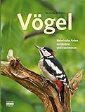 voegelin  Vögel: Heimische Arten entdecken und bestimmen