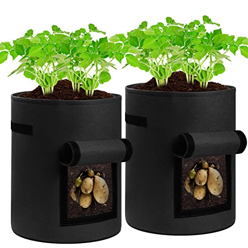 Top 10 Best Plant Grow Bags [Top Picks 2023 Reviews]