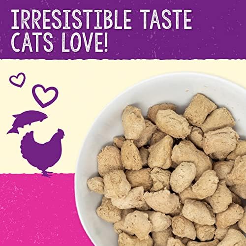 Stella & Chewy’s Freeze-Dried Raw Cat Dinner Morsels – Grain Free, Protein Rich Cat & Kitten Food – Yummy Lickin’ Salmon & Chicken Recipe – 3.5 oz Bag