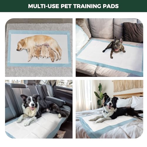 Image of FXW XXL Puppy Pee Pads for Dogs 60x33.5 inch 50 Count, 5 Layer Super Absorbent & Leak Proof-Thickened Disposable Potty Training Pad, Fits 32 inch H 6 /8 Panel FXW Playpen-Blue (Playpen not Included)
