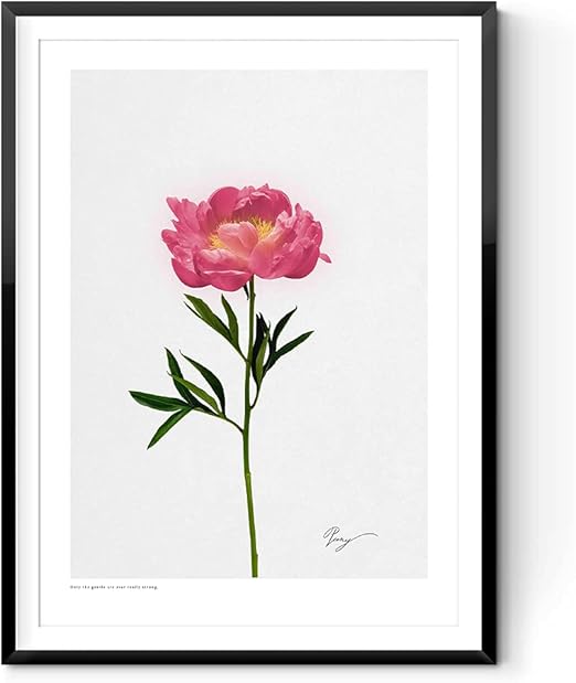 Amazon Co Jp E Hina アートポスター Peony ボタニカル 芍薬 花 英語 インテリアポスター シンプルな北欧ポスター A3サイズ 297 4mm 額装なし ホーム キッチン Amazon Co Jp E Hina アートポスター Peony ボタニカル 芍薬 花 英語 インテリアポスター シンプルな北欧ポスター A3サイズ 297 4mm 額装なし ホーム キッチン
