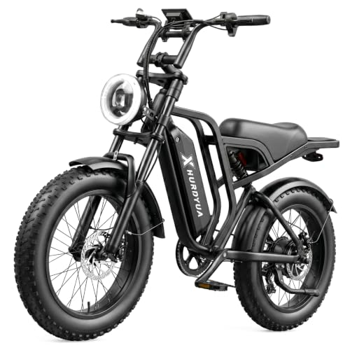 1500W Fat Tire Electric Bike