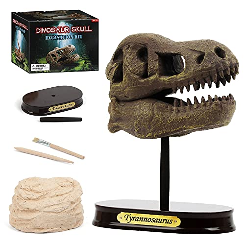 THREEMAO Dinosaur Excavation Kit for Kids, 5.5â€ Tyrannosaurus Skull Excavating Set with Fossil Digging Tools and Stand, Educational Gift for Boys and Girls (Tyrannosaurus)