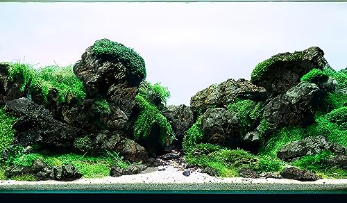 Image of LANDEN Black Icelandic Lava Stone Natural Rocks (18lbs, 3~11 inches,11pcs) for Aquariums, Paludariums, Terrariums, Caves and Rocky Peaks, Mountainous Desert Landscapes