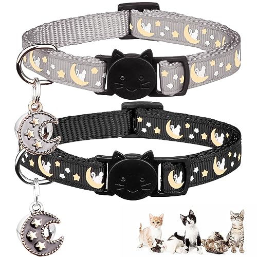 Kitten Collars – The 15 best products compared - Wild Explained