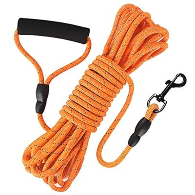 Vivifying Dog Training Lead, 32FT/10M Floatable Reflective Dog Check Cord Long Recall Dog Training Rope with Comfortable Handle for Hiking, Camping, Walking Swimming(Orange)