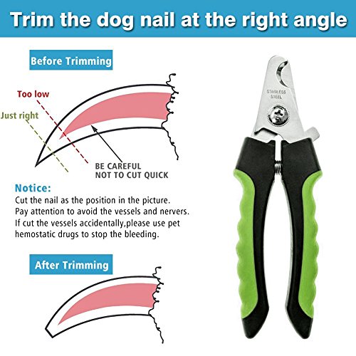 heavy duty dog nail clippers