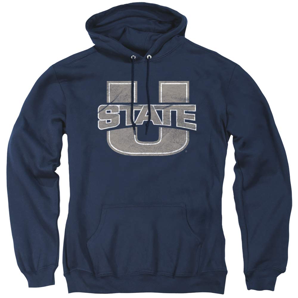 LOGOVISION Official Collegiate Distressed Primary Logo Adult Pullover Hoodie Collection — view 468