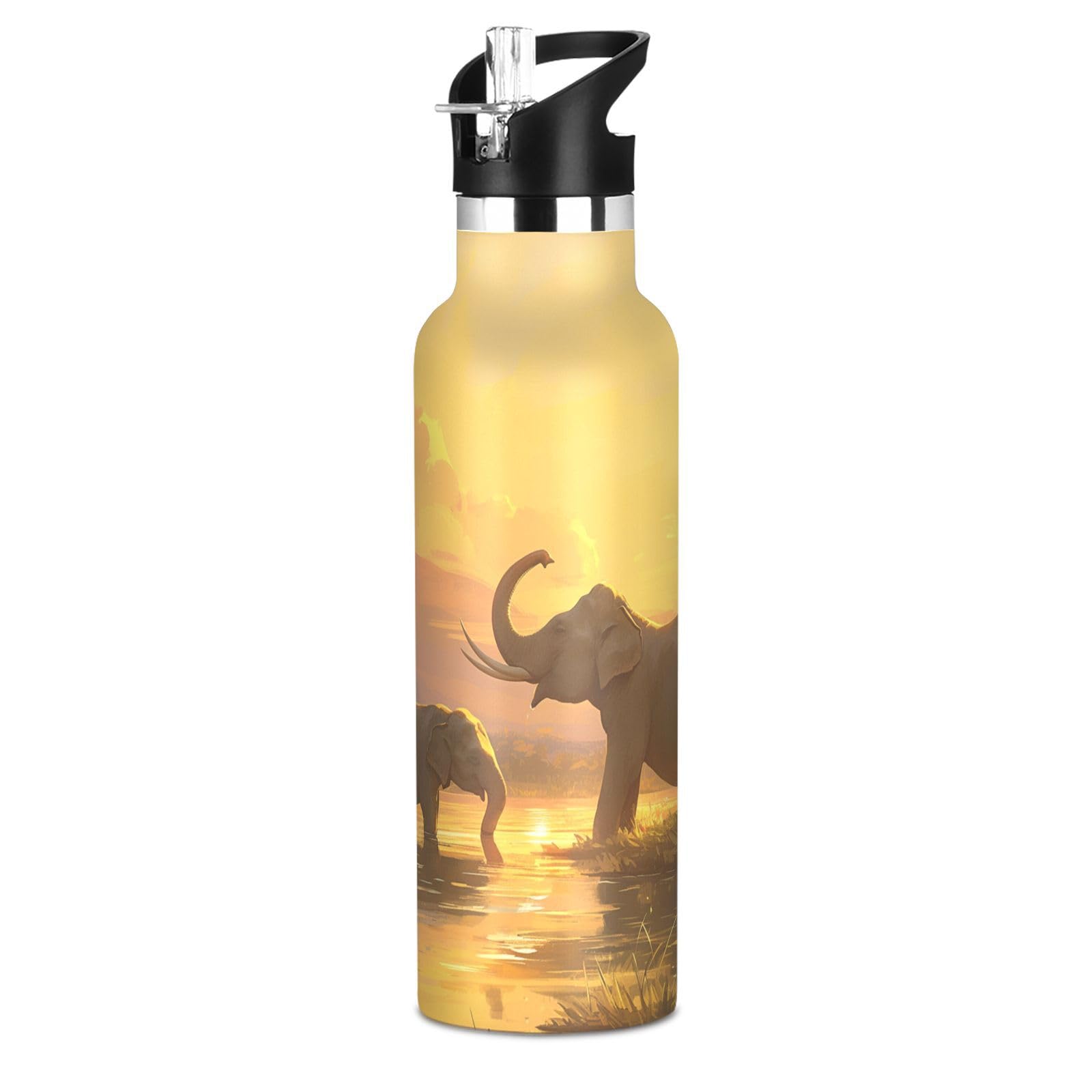 Kaaviyo Boys Pattern Elephants Golden Sunset Light Water Bottle Stainless Steel Jug Insulated Vacuum Cup For Girls(600Ml)