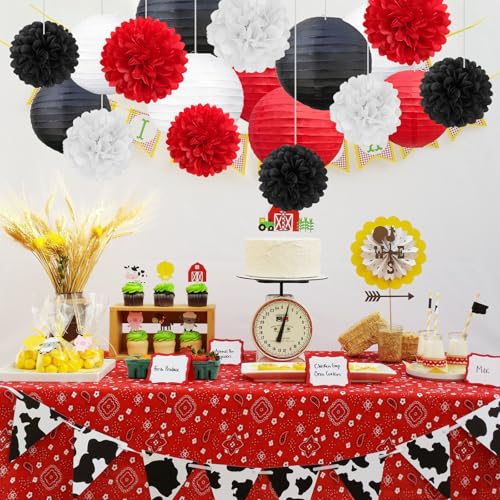 Image of 18 PCS Black Red White Paper Lanterns & Tissue Paper Pom Poms for Birthday, Baby Shower, Wedding, Graduation 2026, Hanging Paper Decor for Fiesta Stranger Theme Party Supplies