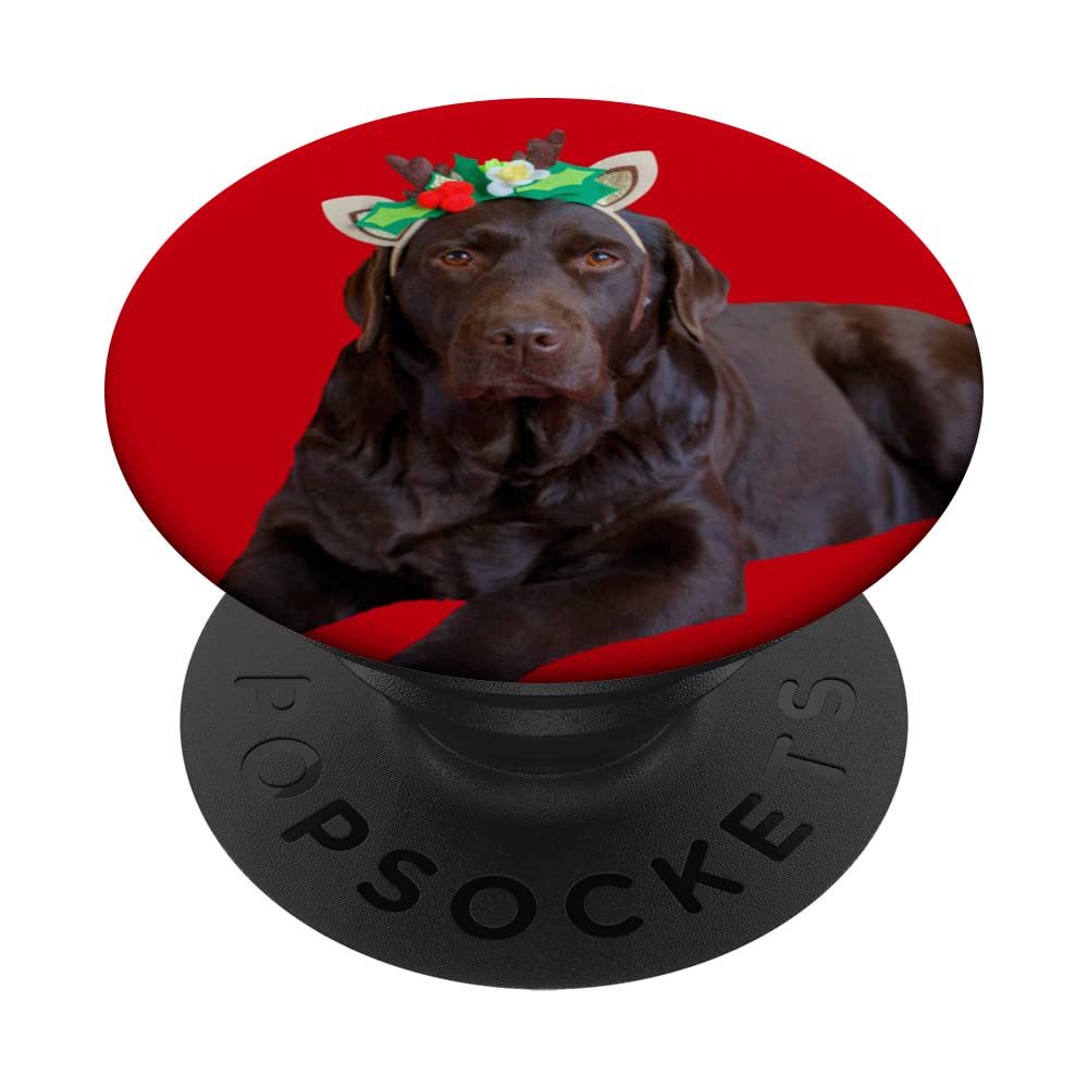 Chocolate Lab Shirt Cute Labrador Dog Image Funny Christmas PopSockets Swappable PopGrip, Black