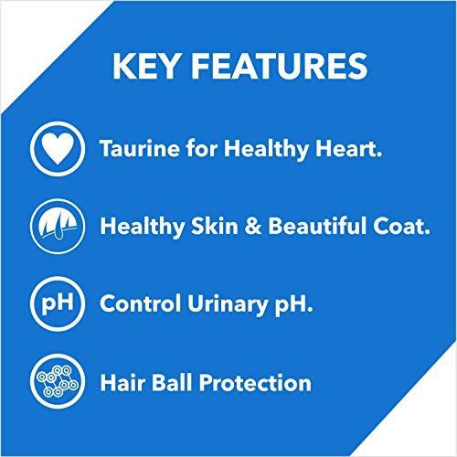 Drools-Adult1-year-Dry-Cat-Food-Ocean-Fish-3-kg-12-kg-Free