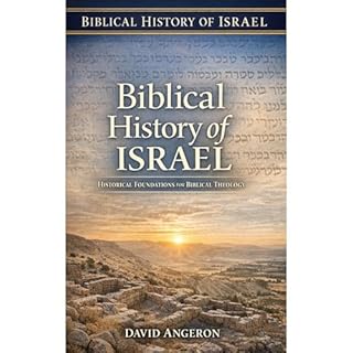 Biblical History of Israel Audiobook By David Angeron cover art