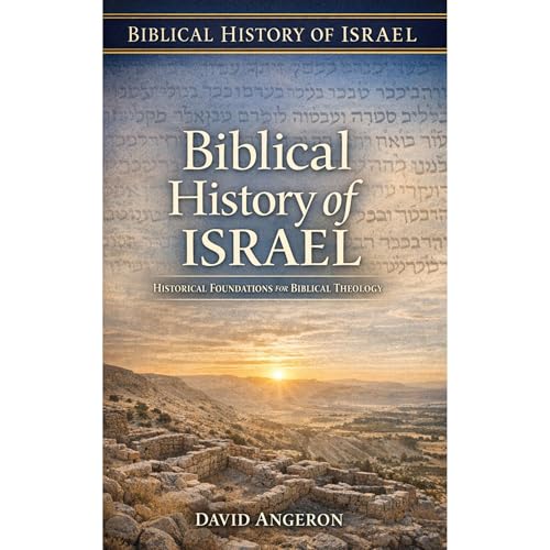 Biblical History of Israel Audiolibro Por David Angeron arte de portada