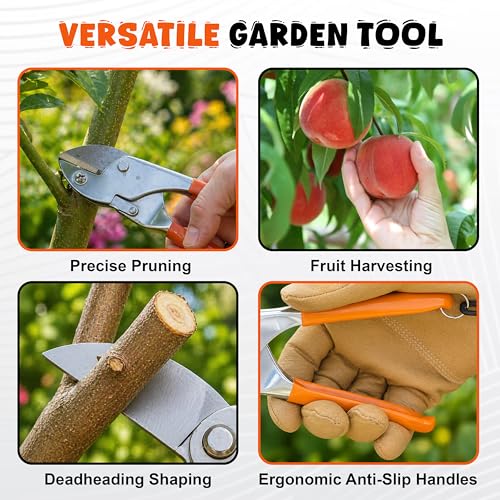 Image of JD FRESH Anvil Roll Cut Pruning Secateurs 8 Inch, Alloy Steel Blade Plant Cutter, Garden Pruning Shears for Dry & Hard Branches, Stems, Shrubs & Flowers with Safety Lock, Anti Slip Handle, Orange