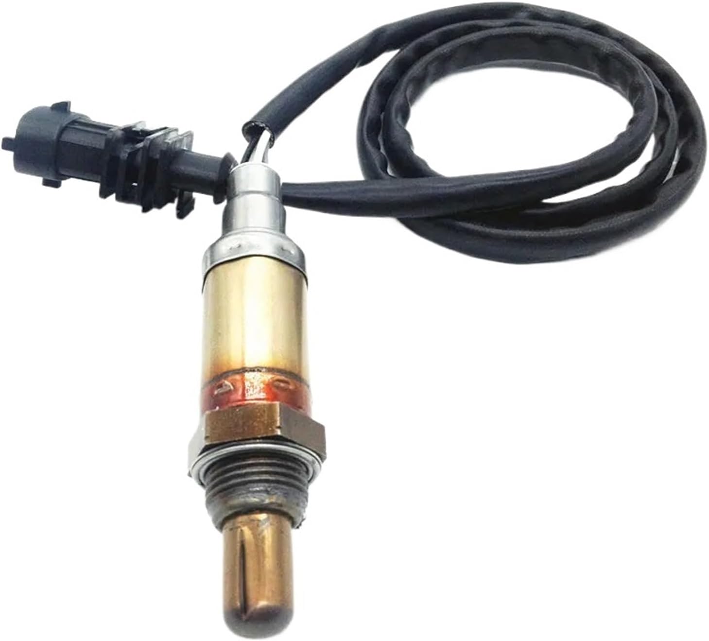 掛け軸 雲谷 彩雨 絹本 希少 軸装 茶道具 掛軸 美品 です。 書 | 古