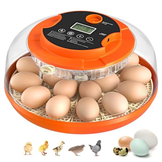 Advanced Egg Incubator with Auto Features