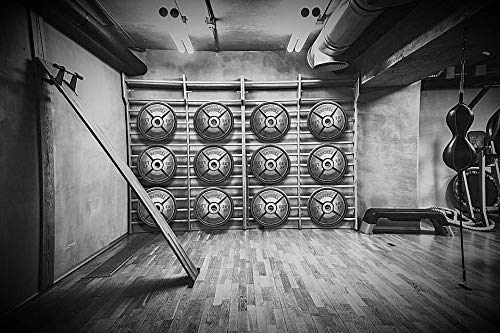 Fake Weights - Not 45 Lb Weight Plates Styrofoam 3 Pairs Prop For Strength Bodybuilding Technique Fitness Training Education - Props For Photoshoot #TOP6