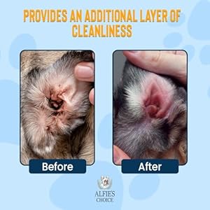Alfies choice dog ear wash 16 fl ozdog ear cleaner with lavender tea tree oilsoothes itchy ears removes debrisadvanced ear cleanser for dogs cats  urban country home decor