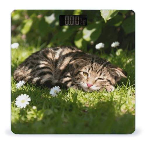 Báscula Digital Cute Cats para el Cuerpo, 180kg